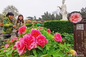 满满唐风古韵！王城公园国潮盛典3日精彩来袭图片