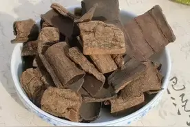 强力定眩片的中医功效和中医适应症是什么？图片