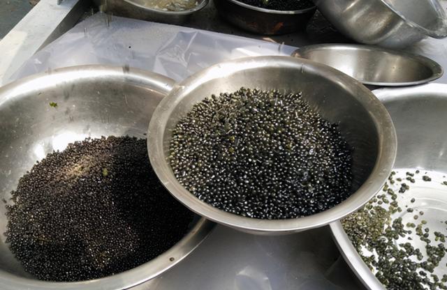 叫米不是米，附生于稻田，曾遭嫌弃没人捡，如今靠种植才够吃