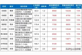 最高14098元/平方！重庆第二次土拍42宗地，楼面单价来了图片