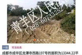 空置14年后，龙潭寺一宗住宅用地下月司法拍卖图片