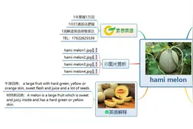 索思英语解码单词（第76个）——hami melon哈密瓜图片