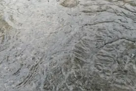 如果天突然下起了雨，我不会躲避图片