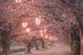 日本最好的季节图片
