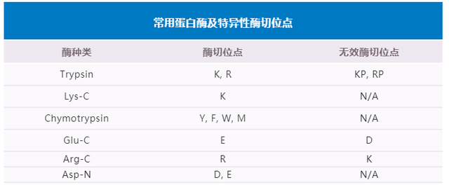 鎶€鏈崌绾т辅楂樺垎杈ㄨ川璋卞姪鍔涘ぇ鍒嗗瓙铔嬬櫧鑽墿缁撴瀯纭瘉鐮旂┒