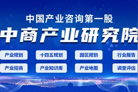 2021年中国风力发电产业市场前景及投资研究报告图片