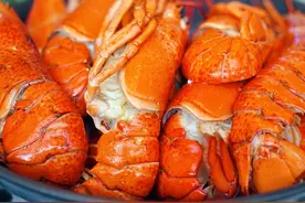 只花一百多块就可以实现波士顿龙虾自由任吃？在琶洲这家酒店可以图片