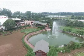 采摘游乐于一体！兴桥镇蓝莓基地等你来！图片