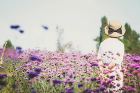 心理学：真正聪明的女人，越活越喜欢“抠门”图片