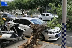 车辆交保险需要提供哪些证件，交强险一定要买吗图片