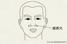 迎香穴：疏通鼻部经络，近可治面部疾病，远可缓胃肠不适图片