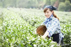 原本五一结婚的表妹，惨遭退亲成了全村人的笑柄，都怪她太过分图片