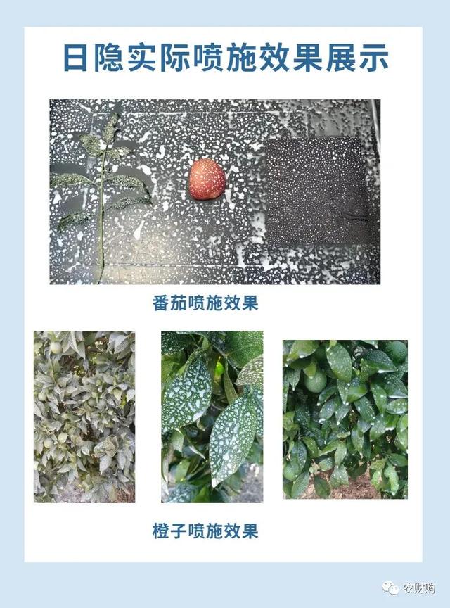 5类柑橘防晒剂大PK,优缺点详细介绍，究竟谁是下一个翘楚？