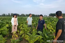 驻村第一书记许付民——吃苦受累寻常事 为民解忧是本分图片