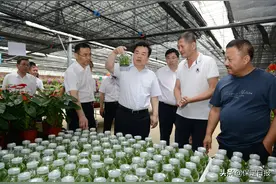 抓好一区一谷一高地一城一河一机场建设 在对接北京联动雄安中当先锋作表率走在前图片