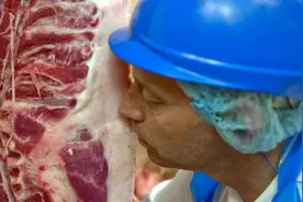 没吃过西方的恶臭骚猪肉，就要谴责“用爱发电”的伪善？图片