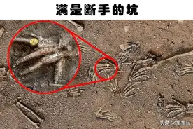 在世界各地被找到的6个可怕的发现图片
