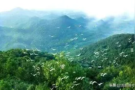 紫蓬山，我们来了图片