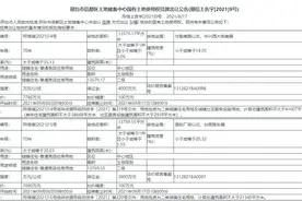 381万元/亩，邢台市中心地块5连拍，一本地房企摘牌图片