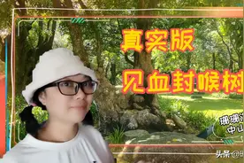 广东中山有罕见的“见血封喉树”，许多本地人不知，游客不敢靠近图片