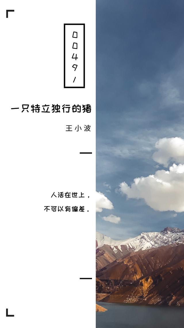 《一只特立独行的猪》十句经典句子