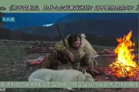 狗子在交配之后，为什么会背靠背“闭锁”？这多很危险啊视频封面