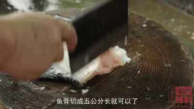 花胶老鸽汤需要放血 2026年花胶老鸽汤需要放血炖吗