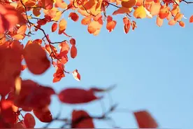 真心爱你的人，只有这一种！遇上了，就好好珍惜吧图片