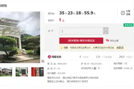 白云花苑别墅，1元起拍图片