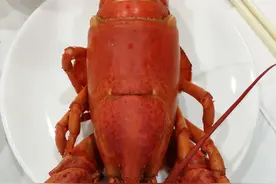 比盘子还大的波士顿大龙虾，味道鲜美，吃一只几乎就饱了图片