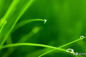 人这辈子，找个说说心里话的人，真的好难图片
