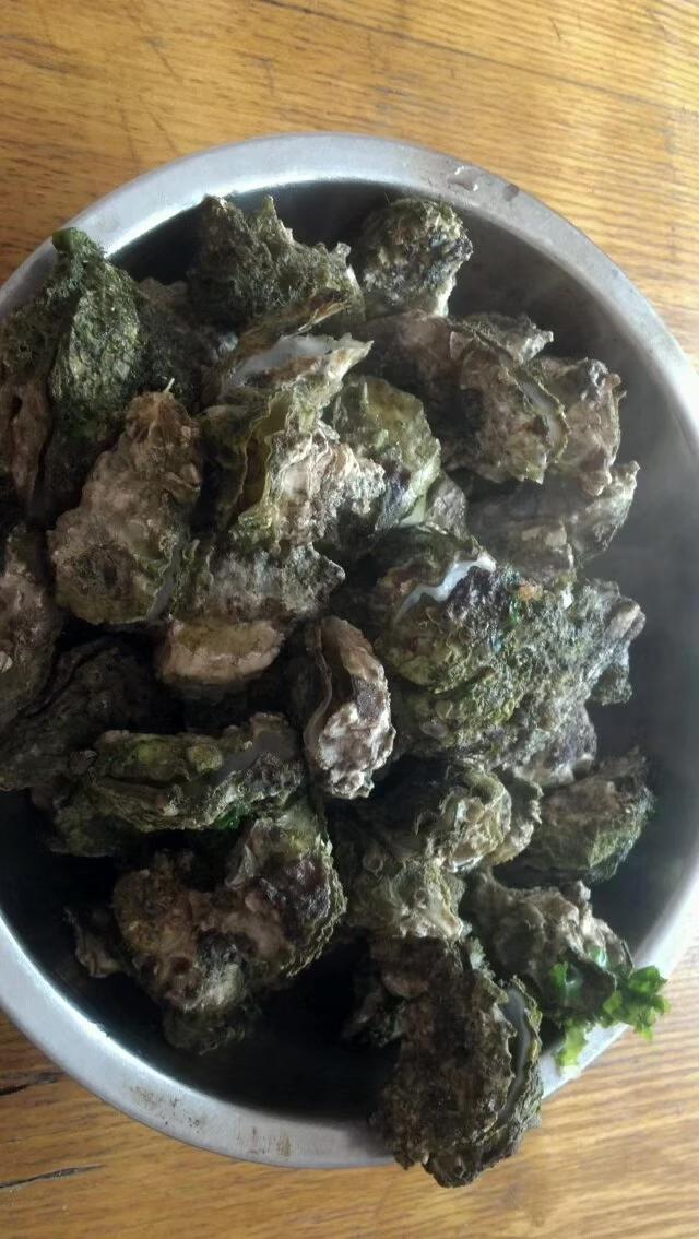 今天说一说什么是赶海，赶海真的好过瘾啊