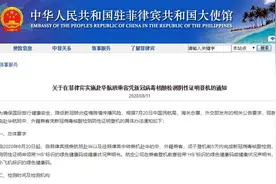 重要提醒！自菲律宾搭乘航班赴华政策有变化图片