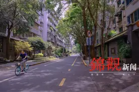 万巷寻美 | 支矶石街—旧时光、慢生活图片