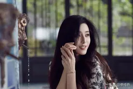 范冰冰，游走在“刀锋上”的娱乐圈冒险者，争议功过任君评说图片