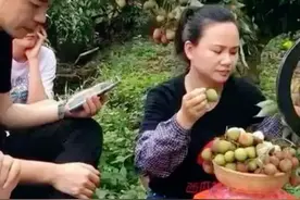 广西：这个县原属广东管辖，现在因盛产荔枝而闻名国内外图片