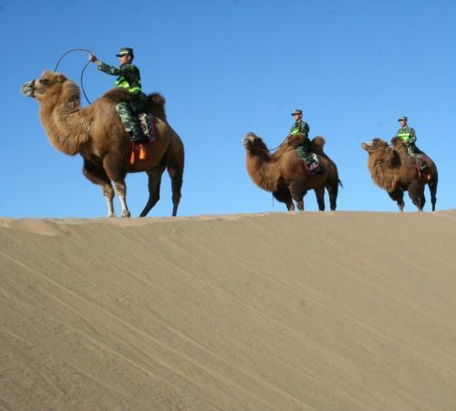 骆驼背上的枪炮，现实版的合金弹头