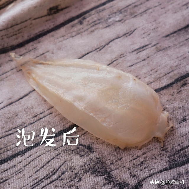百花胶泡发 2026年白花胶要浸泡多久
