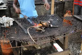 吃猴子、喝牛血、用牛尿洗脸，人类的发源地非洲，为何还不开化？图片