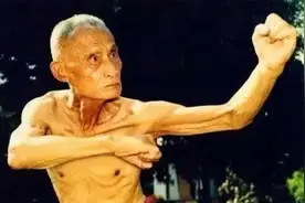 武林奇葩：自然门功夫秘要图片