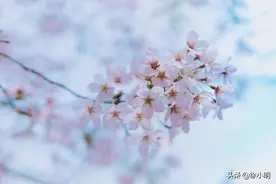 徐小明：日线序列大概率重排图片