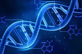 我们只是基因的生存机器图片