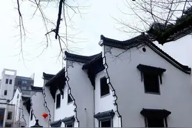 （6）家谱中，如何能做到用字规范？字、未字、待字、适、聘…图片