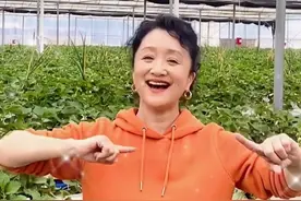 57岁杨昆近态眼眶凹陷，金耳环意外抢镜，曾被丈夫连累两进法院图片