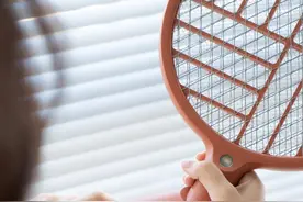 电蚊拍和灭蚊灯的完美结合体，纯物理灭蚊，让你彻底告别蚊虫烦恼图片