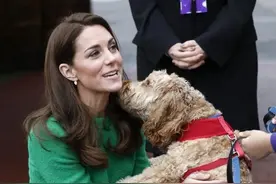 49张皇室成员与宠物犬在一起的照片，你最喜欢哪一张？图片