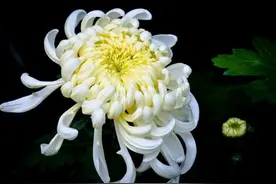 人到三十，最忌冲动，不要因为这三种小事而冲动，避免一生受影响图片