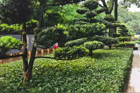 自发货转FBA图片