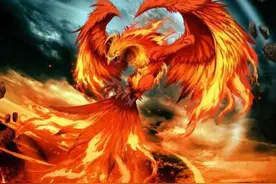 “朱雀种五树，金蟾代代出”，古语说的是哪五树，有没有道理？图片