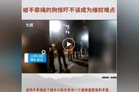 36岁女子“拿命控告”遛狗不牵绳：业主被狗骚扰、被狗主人欺负，物业不管吗？没有规章制度约束吗？图片